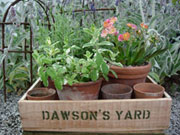 Dawson's Yard Sheffield