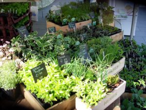 Plant sales